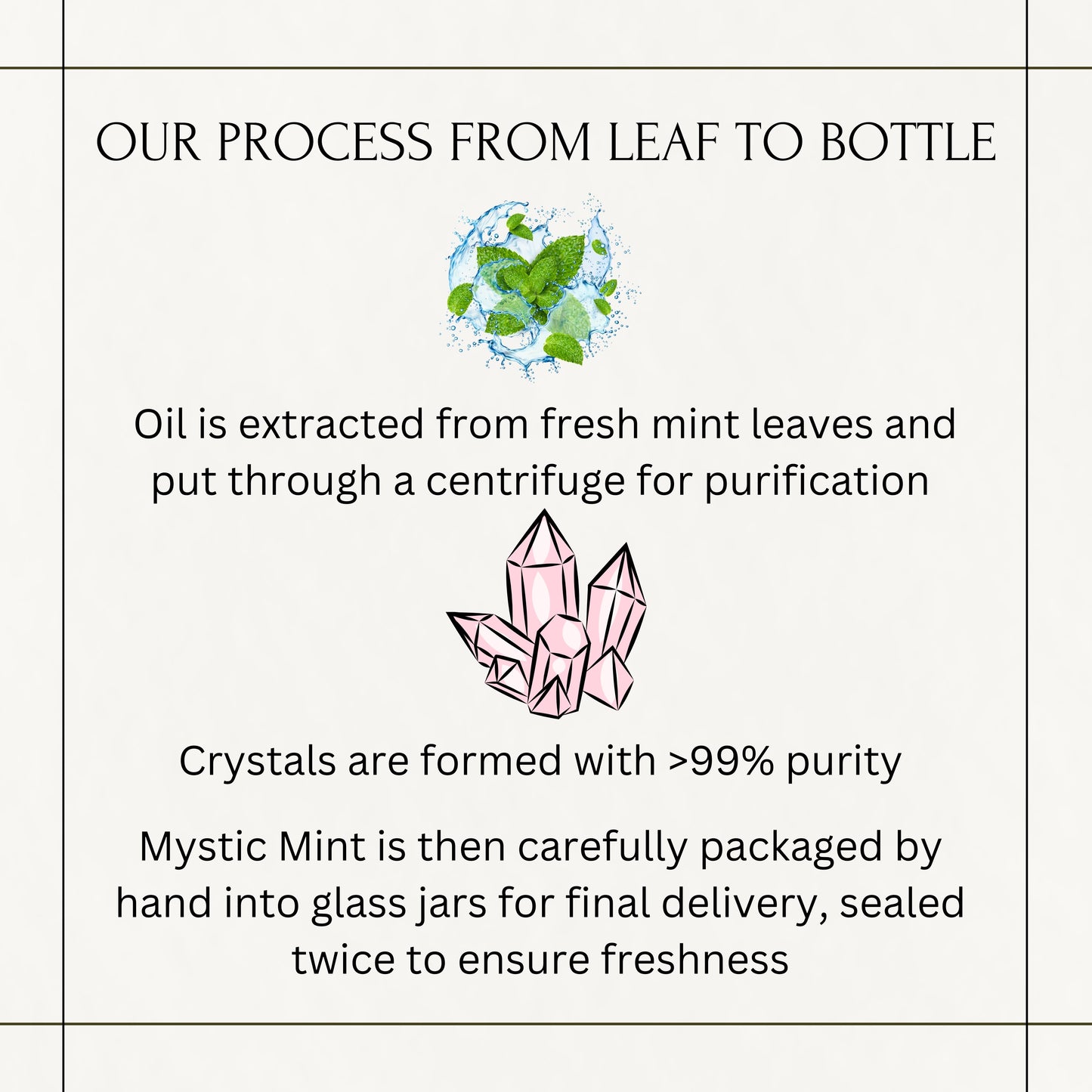 Mystic Mint Extra-Strength Natural Aromatherapy – USDA Organic, Packaged in Brooklyn – 50+ Servings